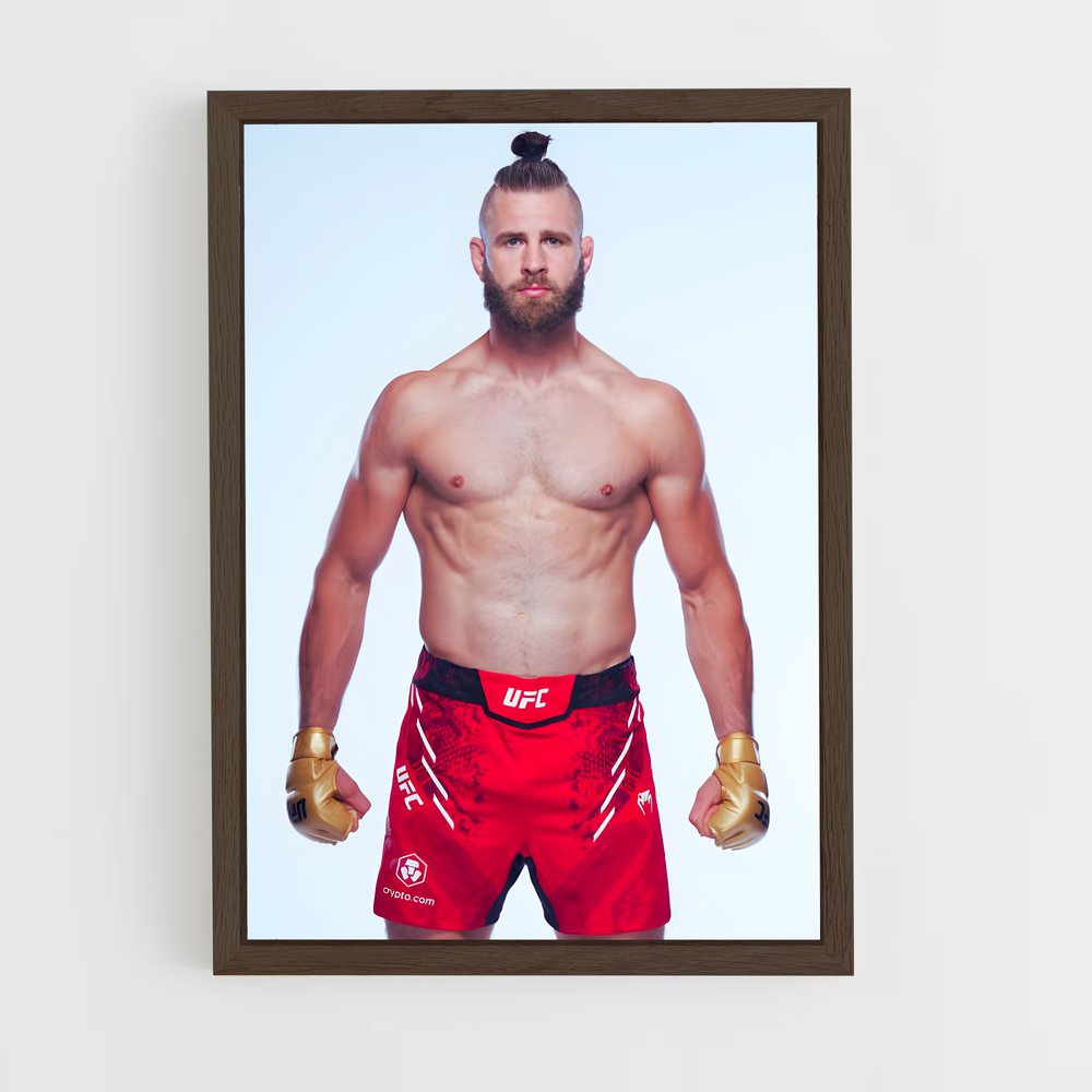 Poster Fight Night Prochazka – affiche MMA (vue 5)